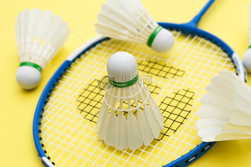 制定了细致 制定了细致