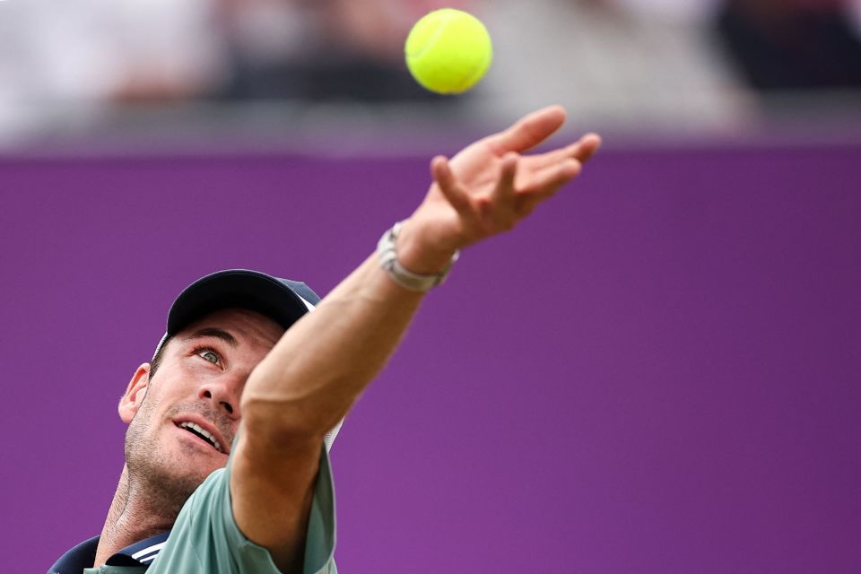 这一决定不 这一决定不