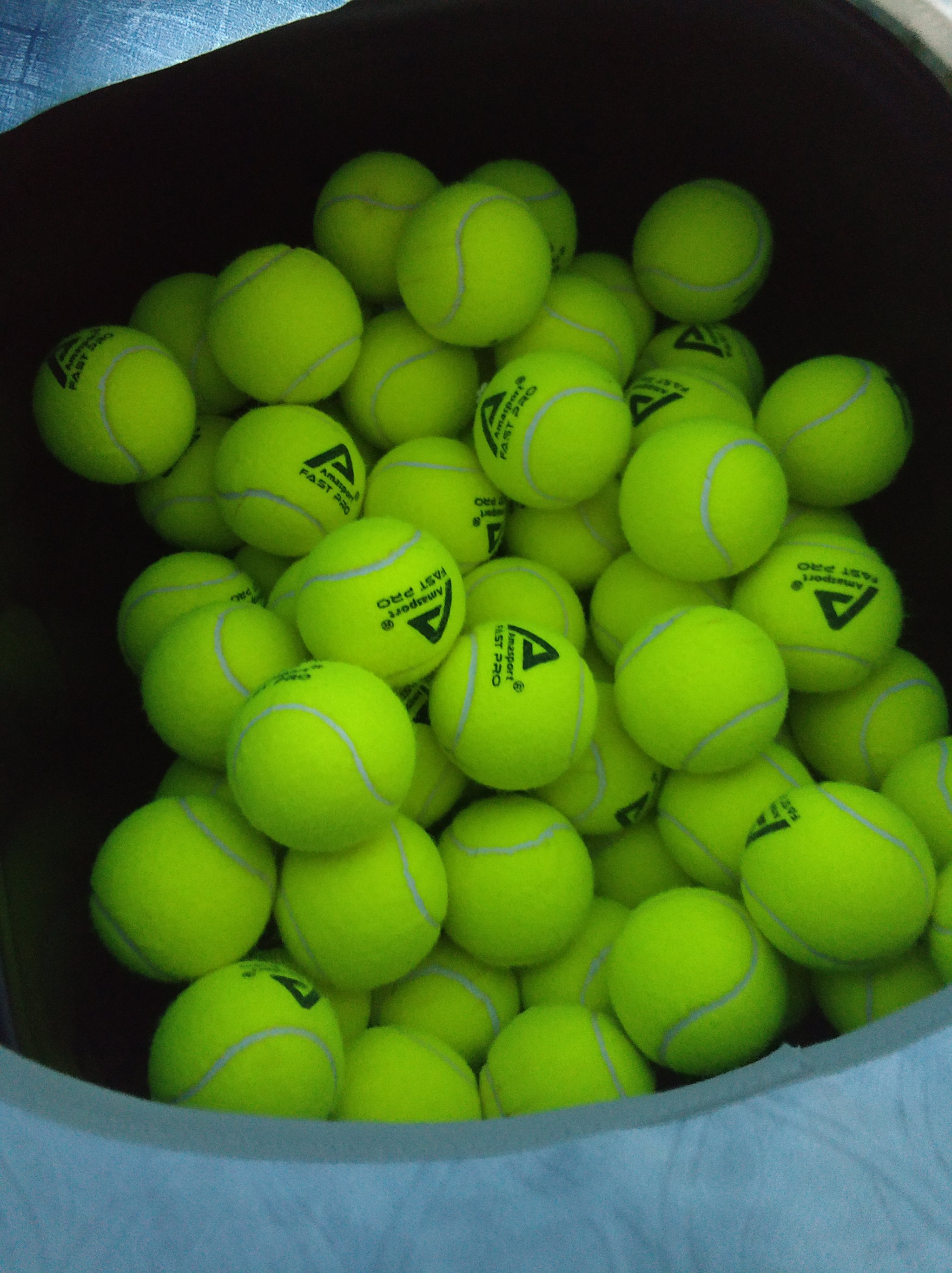 与教练和队 与教练和队