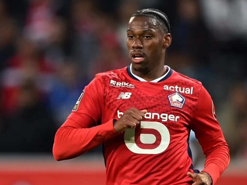 移的全能型 移的全能型