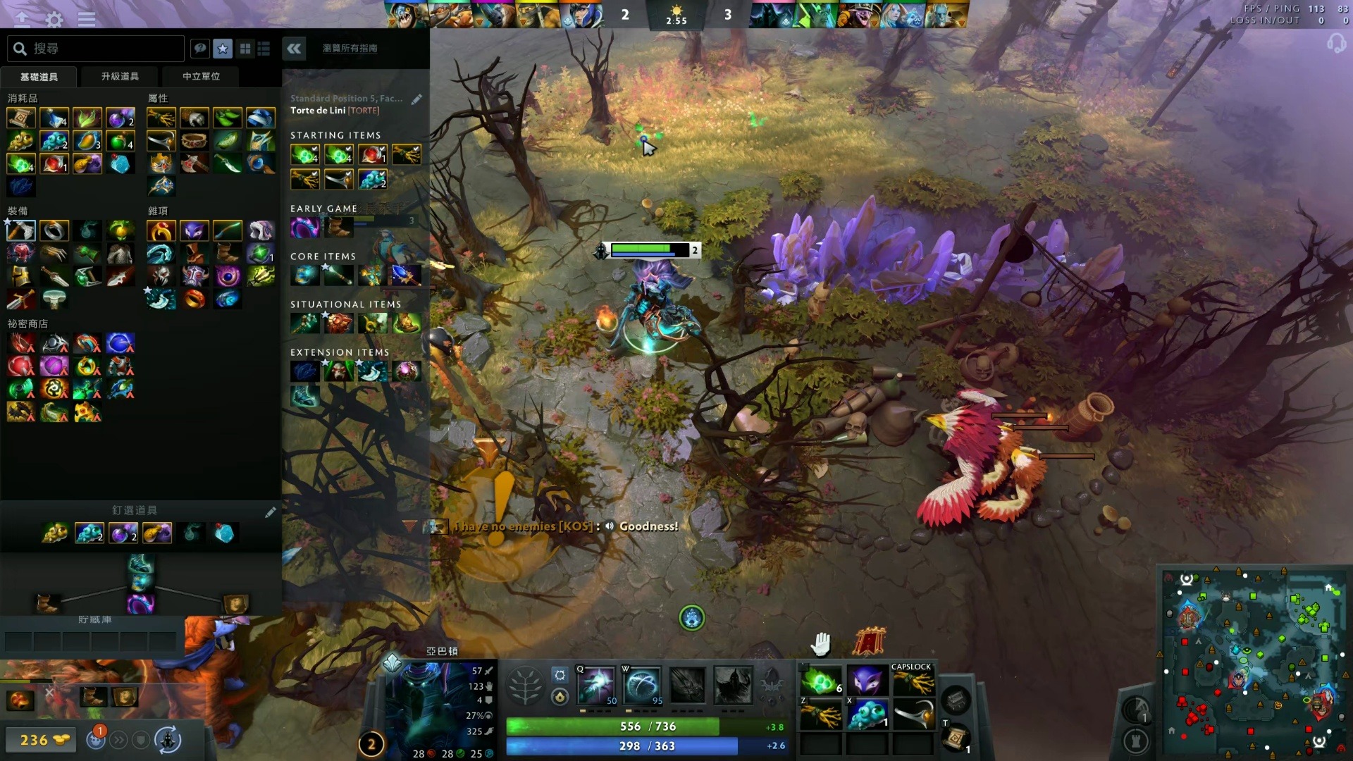 映出黄蜂目 映出黄蜂目